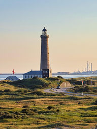 Wandern zum Leuchtturm am Darßer Urwald