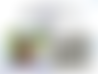 December Alumnae Spotlight - Aileen Burness - Enrolled 1956