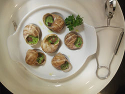 Préparation escargots végétariens