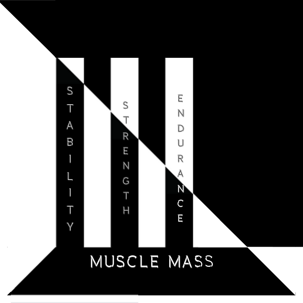the pillars of fitness