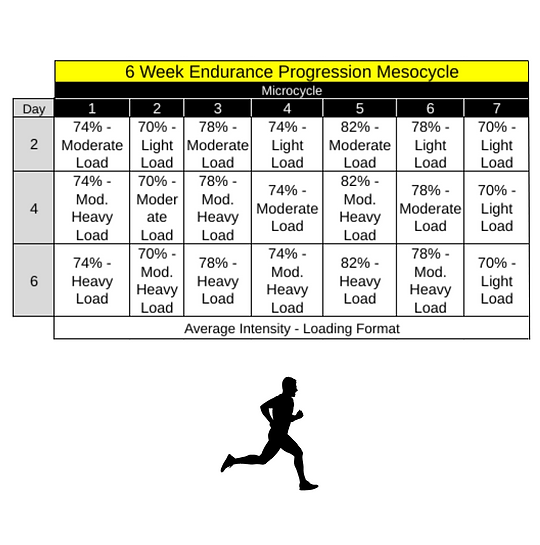 SF gym Process (Instagram Post) (7).png