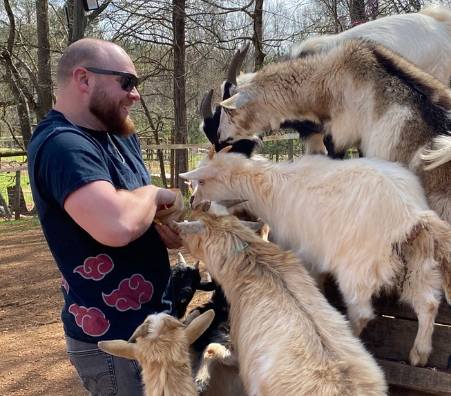 Springhaven Farm Live Free; Live the Farm Life | Spring Haven Farm | Chapel Hill NC