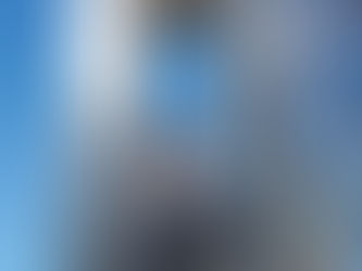 井芹会長が取材を受けました!