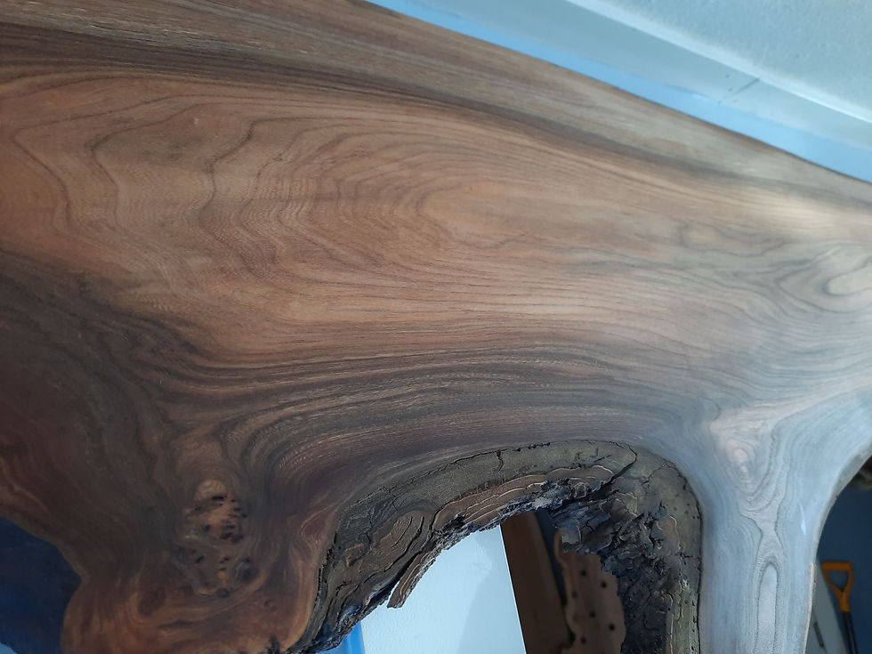Thumbnail: Elm Doorway Header