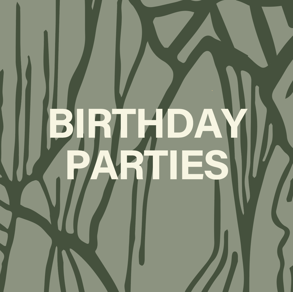 Birthday Parties.png
