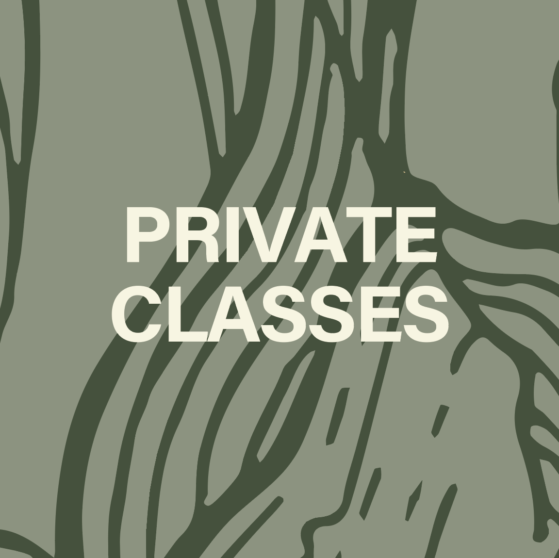 Private Classes.png