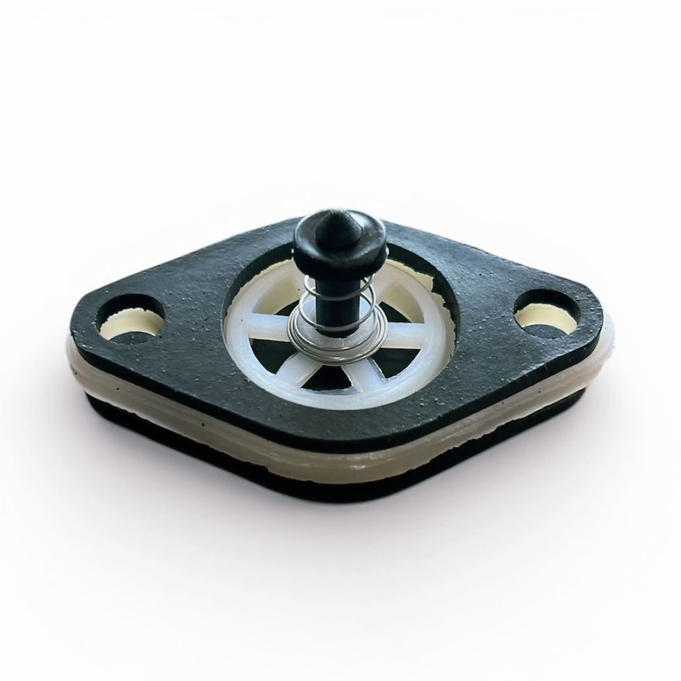 Havells Non Return Valve for Model HTBM2 (NRV)