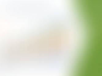 Popping Boba/Juice Balls market Share Statistics Report, Size, Forecast to 2029