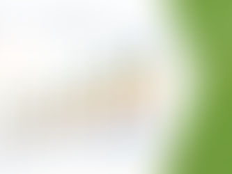 Essential Oil Extraction Market Size, Trends & Growth Analysis 2029