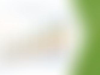Non-Alcoholic Wine Market Size, Share, Industry, Forecast 2029