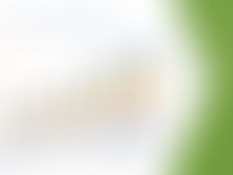 High Fructose Corn Syrup Market by Size, Share, Forecasts, & Trends 2029