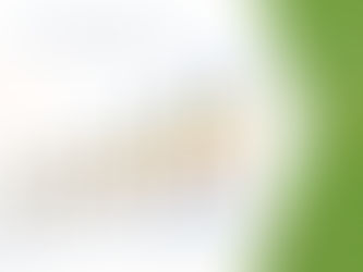 Europe Shiitake Mushroom Market Size, Industry Share, Recent 2029