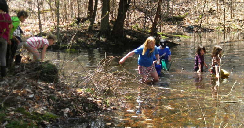vern pool exploration.jpg