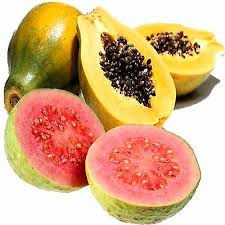 Guava & papaya