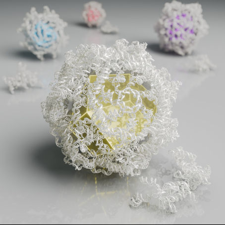 RNA-only Nanocages - A white canvas for biotechnology?