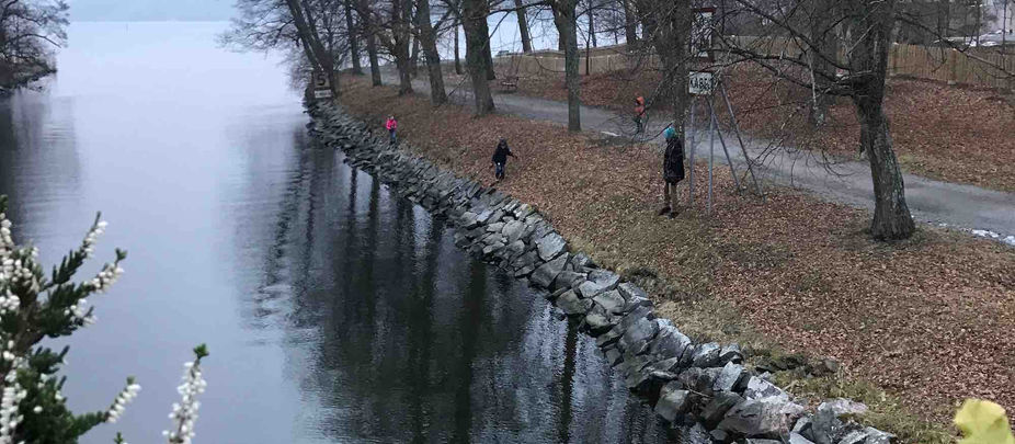 Söndagsbestyr och planerar veckan som kommer