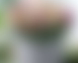 Fem inspirerande vårbilder – tulpanfrossa