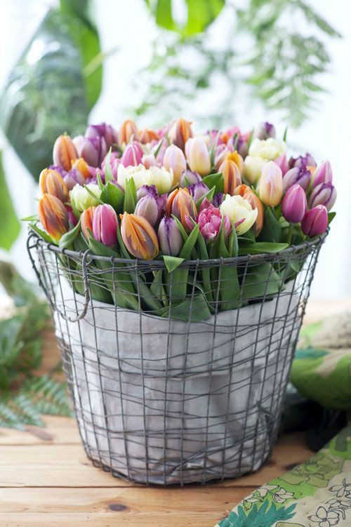tulpaner_fantastiskkorg_pinterest