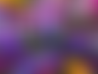 Field of brightly colored flowers