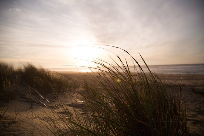morgon_stranden_unsplash2