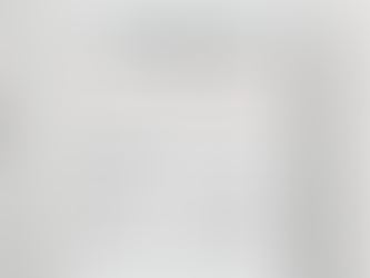 Chamber Pension Plan Net Asset Value (NAV) Update – March 2026