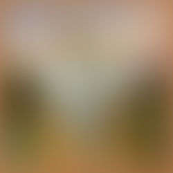 May 18, 2022 – CALL TO LOVE AND CONVERSION FROM THE CHASTE AND LOVING HEART OF SAINT JOSEPH