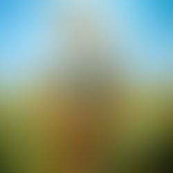 March 1, 2017 – CALL TO LOVE AND CONVERSION FROM THE CHASTE AND LOVING HEART OF SAINT JOSEPH