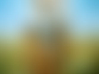 September 16, 2020 – CALL TO LOVE AND CONVERSION FROM THE CHASTE AND LOVING HEART OF SAINT JOS