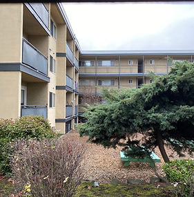 Starliter.JPG