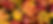 The-Science-Behind-Falling-Leaves-blog-photo.jpg
