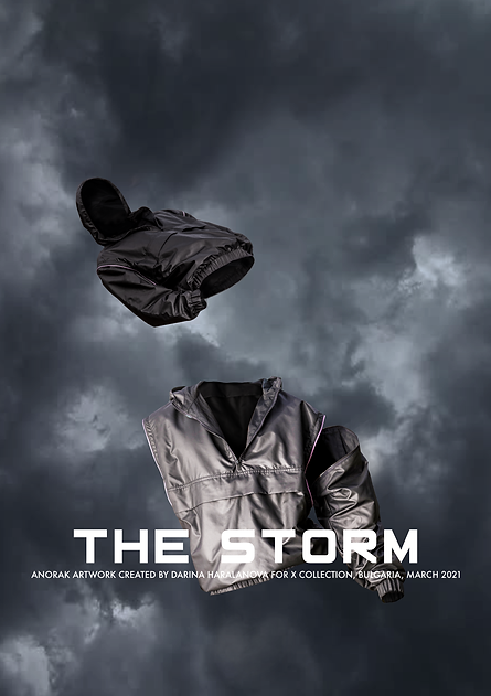 сторм дейв34.png