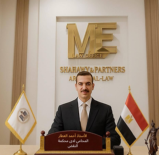 Your paragraph text (3).png