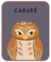 Animal card