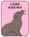 Animal card