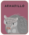 Animal card