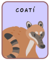 Animal card