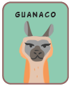 Animal card