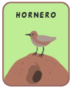 Animal card