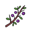 Item