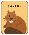 Animal card