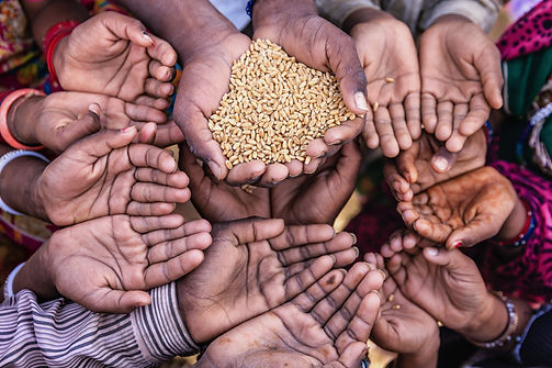 right to food