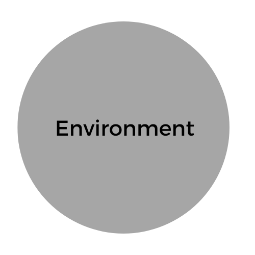 Environment