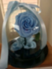 Rosa_Bella_Premium_$150.000_duración_en_