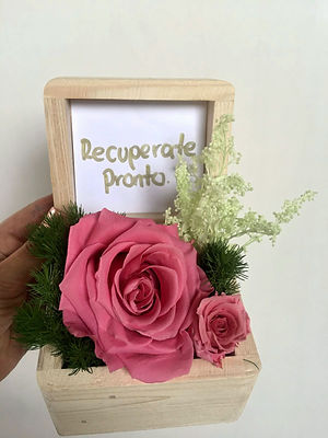 Baul Piccolo $40.000 (2) LIV.jpeg