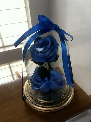 Rosita_bella_$100.000_Descripcion_rosa_n