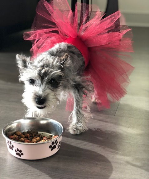 Thumbnail: PEPPER BALLERINA SET