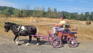 IMG-20260716-WA0004_edited.jpg