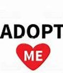adopt me.jpg