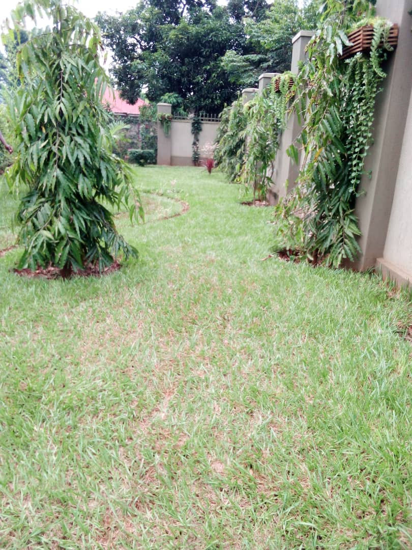 Jinja Properties for Rent
