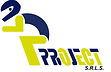 Logo P.Project.jpg